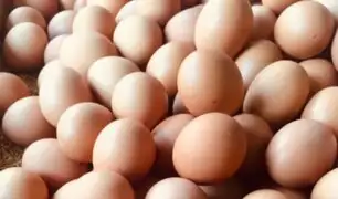 Día mundial del huevo: ¿Está disminuyendo su precio?