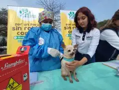 Más de 205 mil canes serán vacunados contra la rabia en distritos de Lima Sur