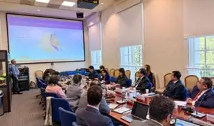 Ministra de Cultura presentó ante la CIDH la estrategia “Perú sin Racismo" para enfrentar la discriminación étnico-racial