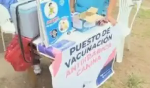 Callao: realizan campaña de vacunación contra la rabia tras muerte de mujer en Arequipa
