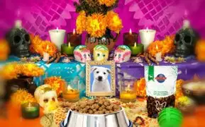 Día de los muertos: ¿sabía que también se rinde culto en altares a mascotas fallecidas?