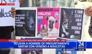 Horror en VMT: Vecino es acusado de envenenar a trece animales domésticos