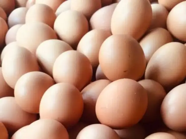 Productores de huevos atribuyen alza de precios a la ola de calor