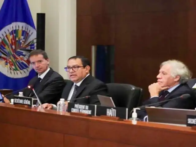 Alberto Otárola sobre Pedro Castillo ante la OEA: 