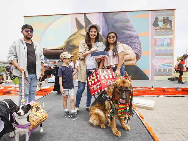 Halloween Canino: Más de 600 amigos de 4 patas celebraron en Magdalena