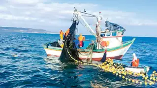 Crisis en el sector pesquero: tres empresas anuncian paralización de sus operaciones