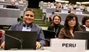 MINEM: articulan esfuerzos con países y cooperantes en COP-5 de Ginebra