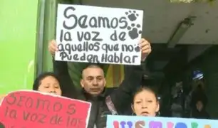 Justicia para "Torito": Vecinos de VMT protestan por perrito que fue golpeado y abusado sexualmente