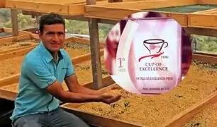 FICAFÉ PUNO 2023: Cajamarca se coronó como el mejor café en Taza de Excelencia