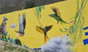 Cusco embellece sus calles con murales que destacan su cultura y retratan el poder de lo colectivo