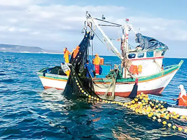 Crisis en el sector pesquero: tres empresas anuncian paralización de sus operaciones