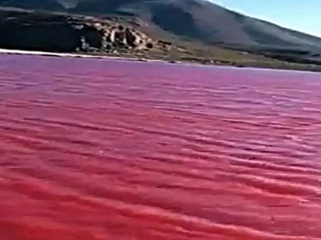 Río Nilo se tiñe de rojo y recuerda a pasaje bíblico, pero científicos dan posible explicación