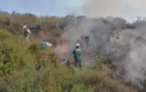 Arequipa: incendio forestal afecta más de 137 hectáreas de cultivo