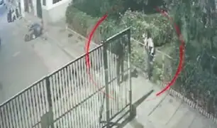 Vecinos de SJM frustran asalto :“hemos salido a salvar a la muchacha”