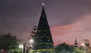 Navidad en Perú: ¿En qué región se encuentra el árbol más grande de todo el país?