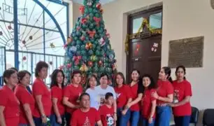 Huánuco: Arman gran árbol navideño con botellas de plástico