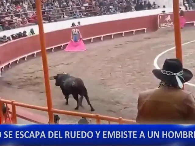 Puno: toro escapa del ruedo y deja una persona herida