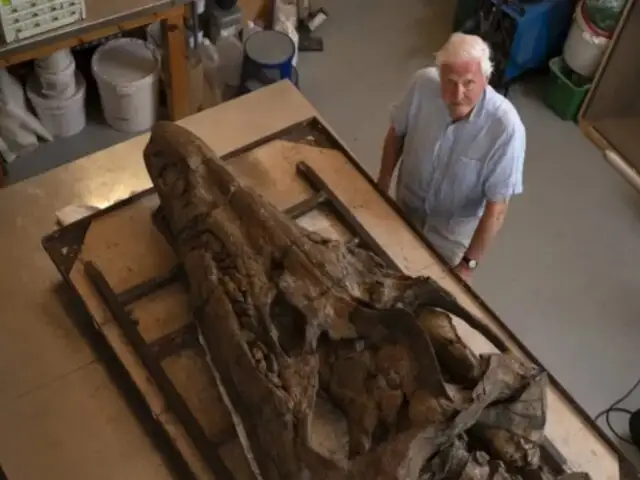 Terrorífico hallazgo: encuentran restos fósiles de “monstruo marino” en Inglaterra