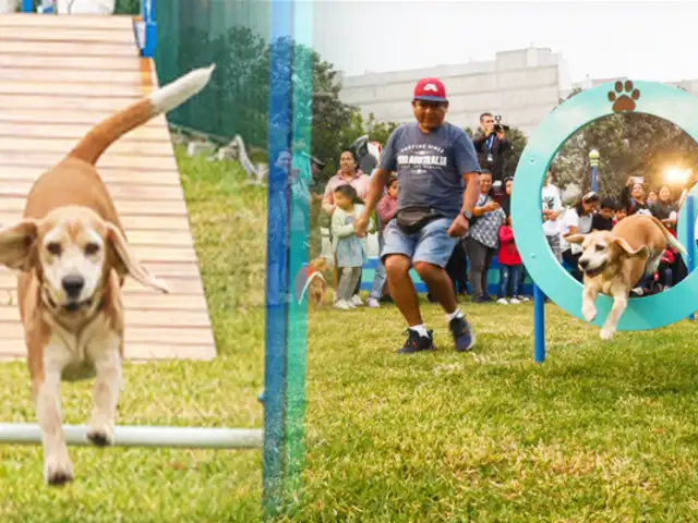 “Mundo 4 Patas”: inauguran el primer Parque de Diversiones Canino del Perú en Surco