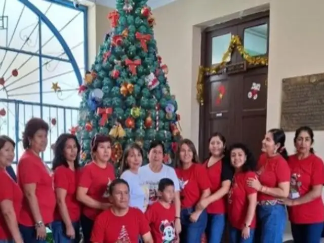 Huánuco: Arman gran árbol navideño con botellas de plástico