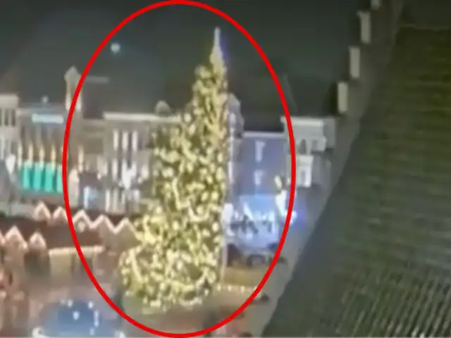 Bélgica: muere mujer después de la caída de un árbol navideño cerca de un mercado callejero