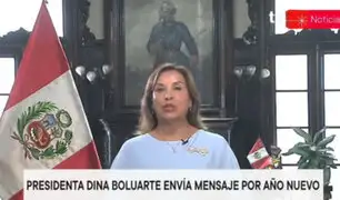 Presidenta Boluarte: El 2024 se trabajará en el impulso de la economía y la lucha contra la delincuencia