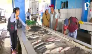 Chorrillos: continúa escasez de pescados debido a oleajes anómalos