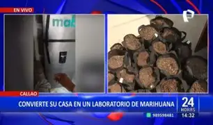¡Increíble! Sujeto convierte su casa en un laboratorio de marihuana en el Callao