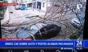 VMT: Árbol cae sobre vehículo y conductor se salva de milagro