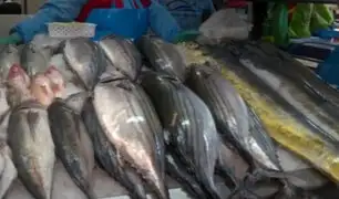 Callao: sepa como reconocer un pescado fresco para preparar platos gastronómicos