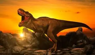 ¿Por qué se redujeron los dinosaurios? Investigadores aseguran que resolvieron el misterio