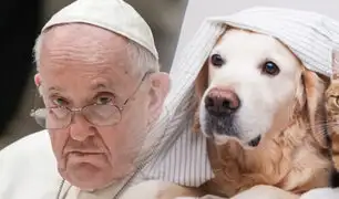 Papa Francisco: “Todo pueden tener un perro, pero es necesario tener hijos”