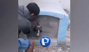 Lambayeque: rescatan a perrito que fue encerrado al interior de un nicho