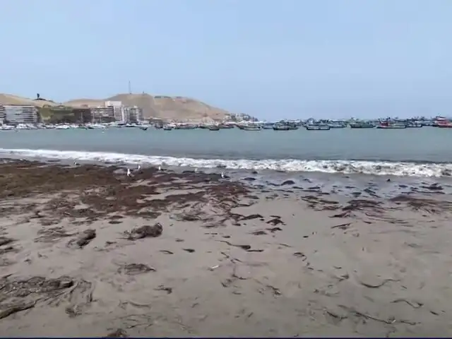 Alcalde de Ancón tras cierra de playas por contaminación: “Repsol parece burlarse de la municipalidad”
