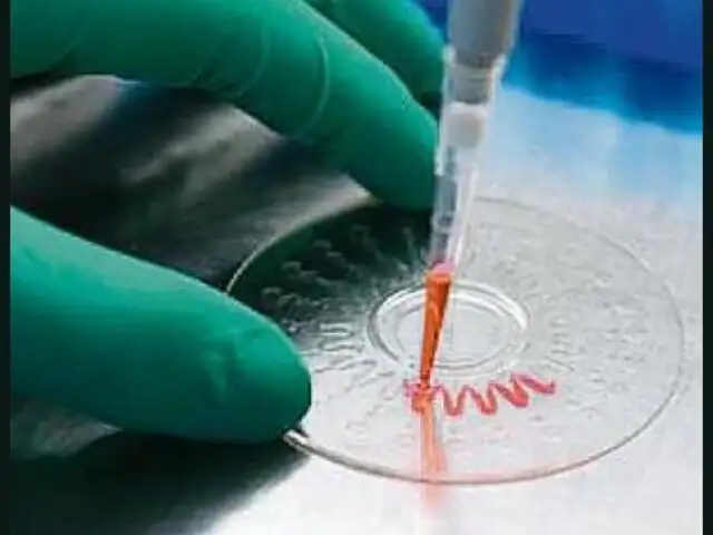 Covid-19: laboratorio en China experimenta con ‘cepa mutante’ que mata ratones con gran rapidez