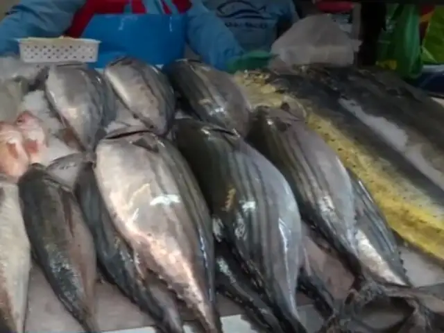 Semana Santa: Sepa cómo reconocer un pescado fresco - Noticias - Organismo  Nacional de Sanidad Pesquera - Plataforma del Estado Peruano