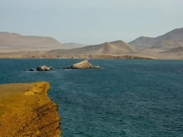 Reserva de Paracas e islotes Palomino entre nominados a Green Destinations: ¿Cómo votar por ellos?
