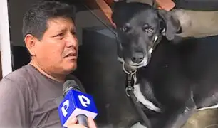 Sujeto dispara a perro porque creía que atacaría a su menor hija en La Victoria
