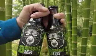 Cerveza de bambú: conozca más sobre esta bebida artesanal que también ayuda al medio ambiente