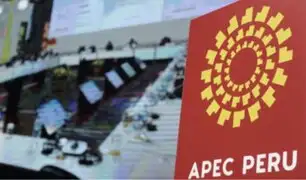 Rusia participará en todas las reuniones preliminares del APEC, según embajador