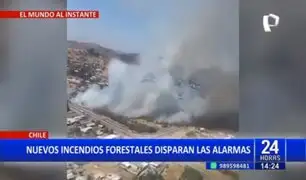Chile: Incendios devoran miles de hectáreas en varias regiones
