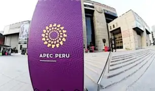 APEC 2024: conozca las actividades del foro económico que se efectuarán en el Perú
