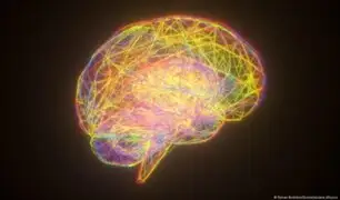 Nuevo estudio basado en IA: cerebros de hombres y mujeres se organizan de forma diferente
