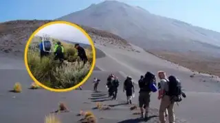 Descendía con sus amigos del Misti: turista chileno muere tras caer a abismo de 400 metros