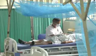 Minsa anuncia que más de 30 personas han muerto por dengue en lo que va del 2024