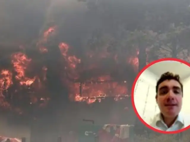 Incendios forestales en Chile: Contraalmirante advierte un “patrón” e indicios de “planificación”