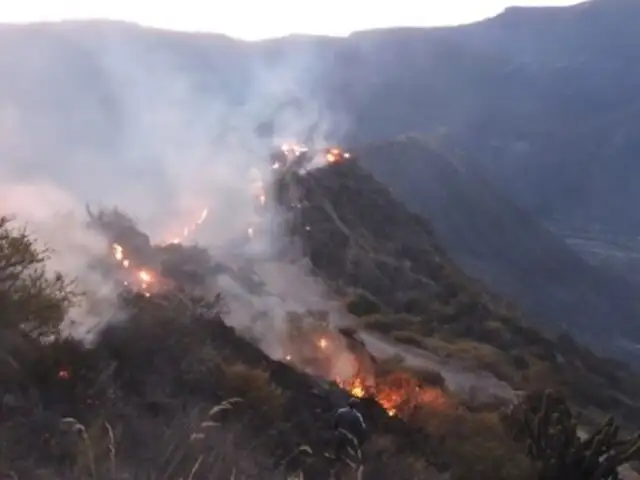 Lambayeque: autoridades piden apoyo de la FAP para sofocar devastador incendio forestal