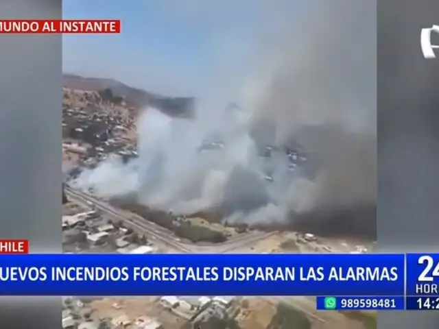 Chile: Incendios devoran miles de hectáreas en varias regiones