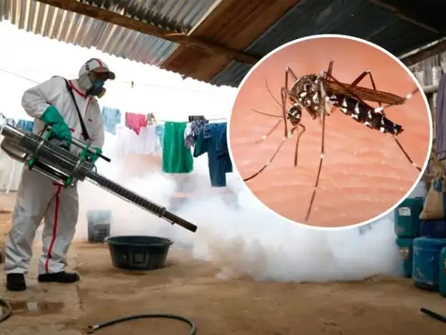 Casos de dengue se duplican en el primer bimestre del año a comparación del 2023