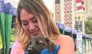 Reportera se emociona hasta las lágrimas tras adoptar a un perrito EN VIVO
